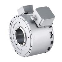 Direct drive motor